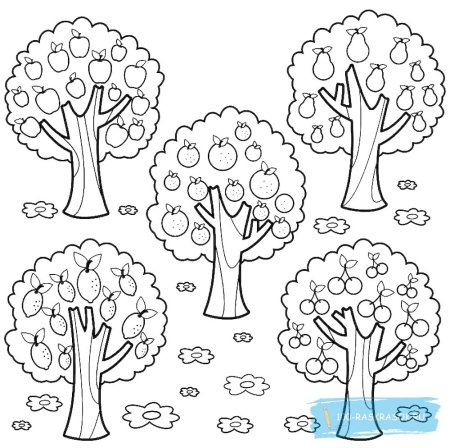 Сад раскраска для детей