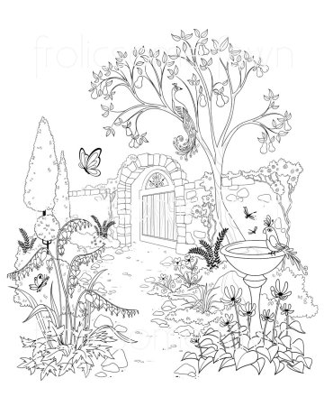 Сады. Раскраска