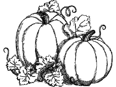 Тыква раскраска