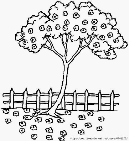 Сад с деревьями раскраска