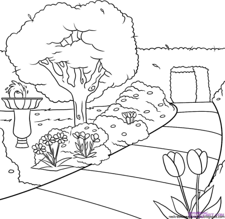 Раскраски природа красивые