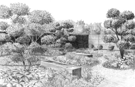 Огород раскраска для детей