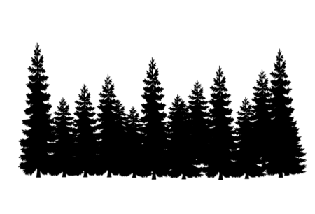 Силуэты елей