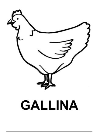 Петух раскраска