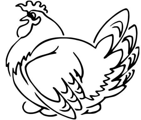 Раскраска курица с цыплятами