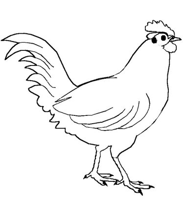 Курица раскраска для детей
