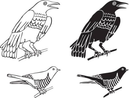 Раскраска птицы Кукушка
