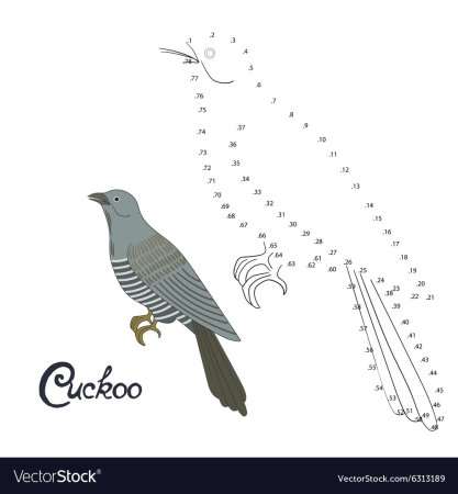 Кукушка контур