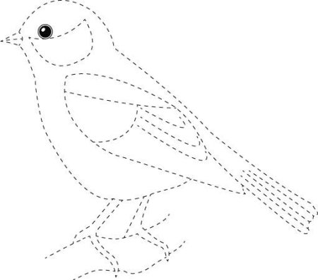 Трафарет птички синички для детей