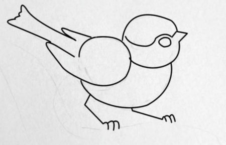 Снегирь раскраска для малышей