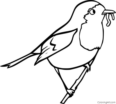 Разукрашка зимующие птицы синица