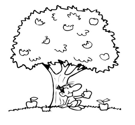 Дерево раскраска для детей