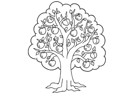 Раскраска яблоки на ветке