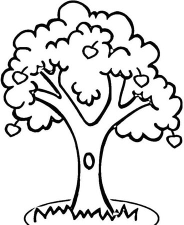 Груша дерево раскраска для детей