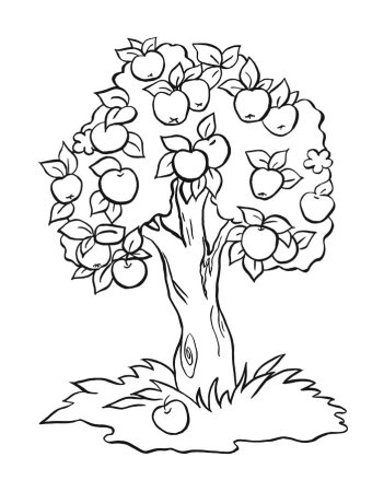 Раскраски для малышей 2-3 года