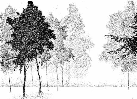 Графический пейзаж тушью