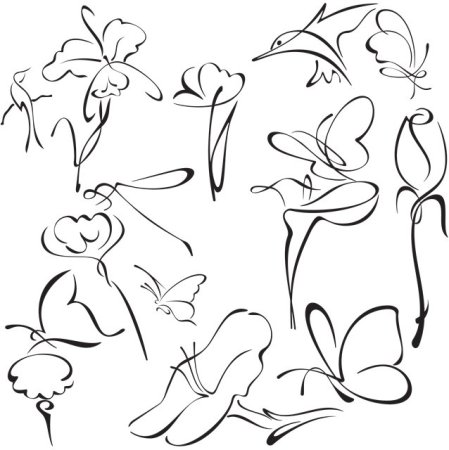 Цветы контур одной линией