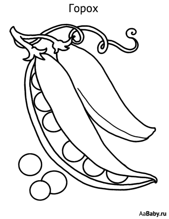 Горох раскраска