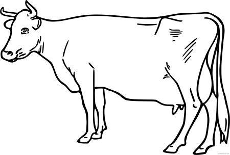 Корова контур