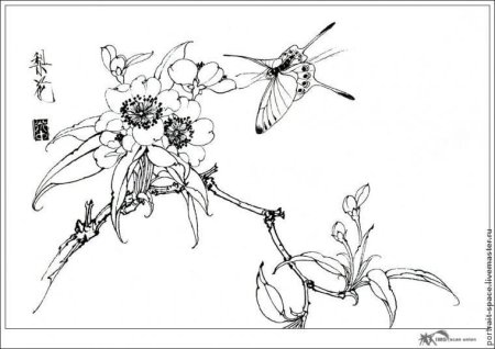 Раскраски в стиле китайской живописи