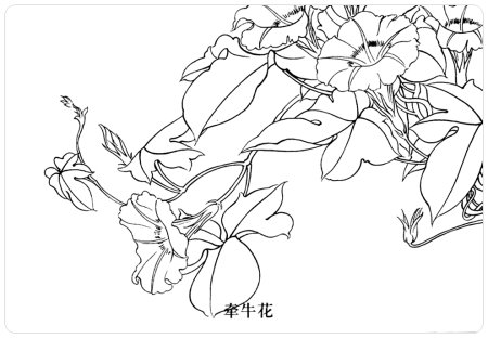 Цветы в японском стиле раскраска