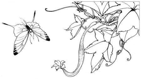 Цветы в японском стиле раскраска