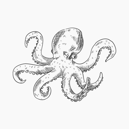 Шаблоны морских обитателей