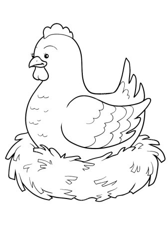 Курица раскраска