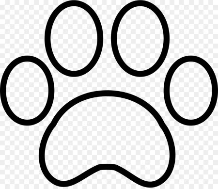 Лапка раскраска