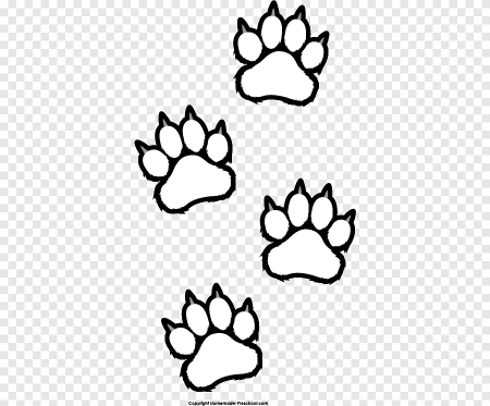 Лапки для раскрашивания