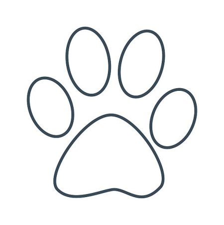 Контур лапы собаки