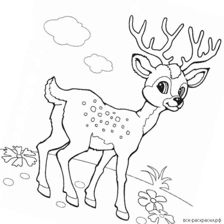 Раскраска Олений