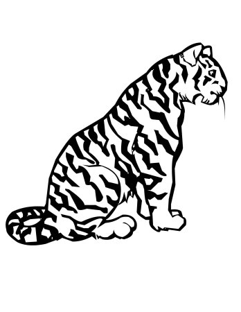 Тигр. Раскраска