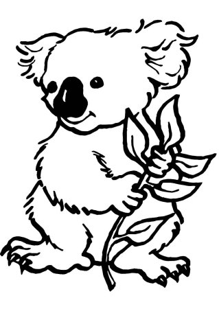 Разукрашки коала
