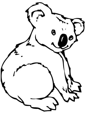 Коала. Раскраска