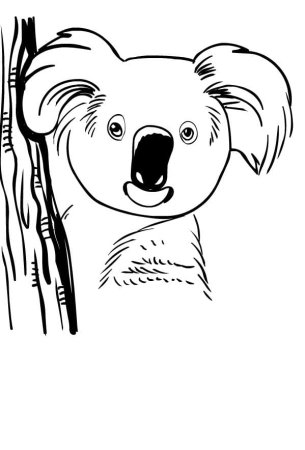 Разукрашки коала