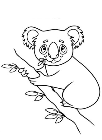 Коала раскраска маленький Формат