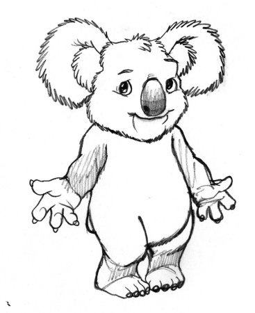 Коала рисунок карандашом