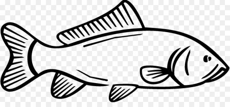 Рыбка вектор чб
