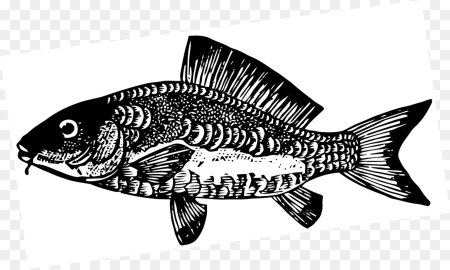 Карп силуэт