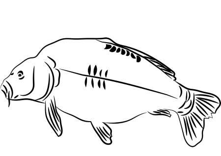 Лещ раскраска для детей