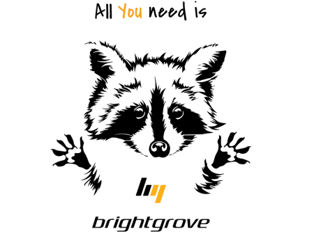 Енот трафарет