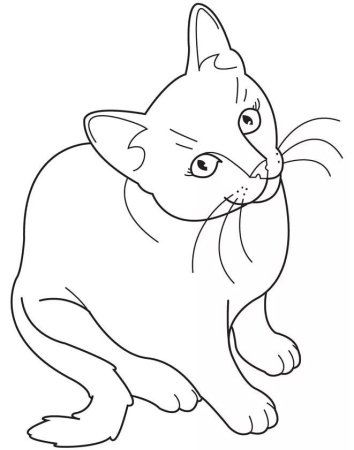 Рисунки для срисовки котики