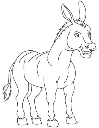 Ослик раскраска