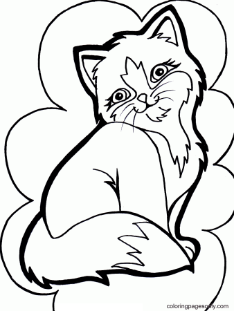 Кошки. Раскраска