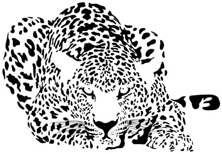 Сердце в coreldraw