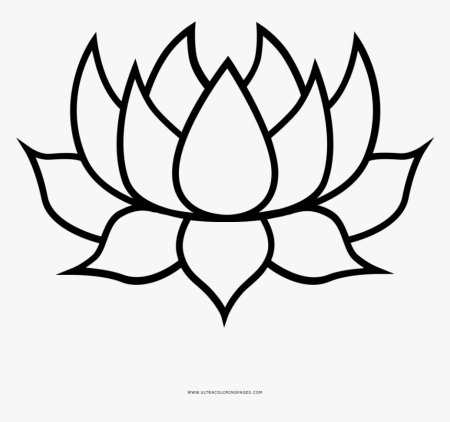 Лотос рисунок