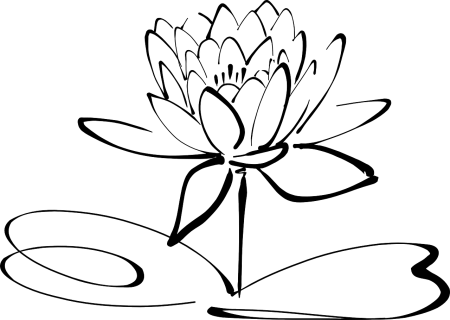 Кувшинка белая (Nymphaea Alba)