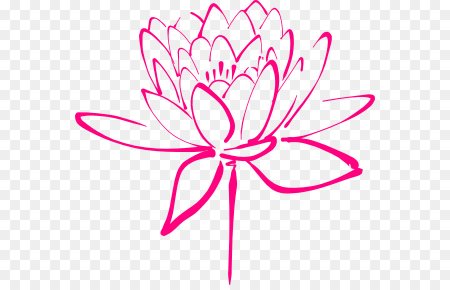 Лотос черно белый контур