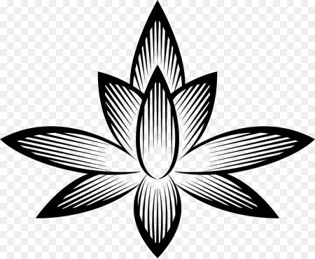 Лотос Эдельвейс